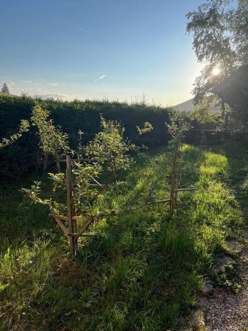 Nuit Insolite - La Cabane Du Haut-Doubs Les Gras Extérieur photo