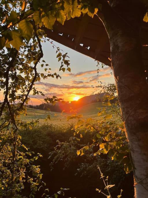 Nuit Insolite - La Cabane Du Haut-Doubs Les Gras Extérieur photo