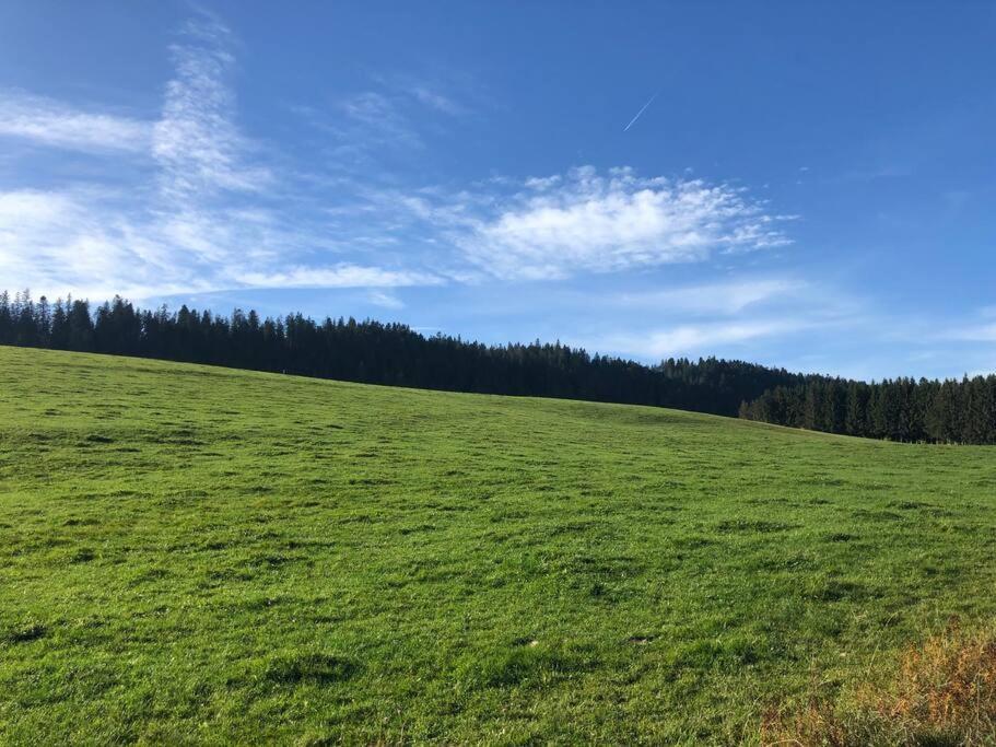 Nuit Insolite - La Cabane Du Haut-Doubs Les Gras Extérieur photo